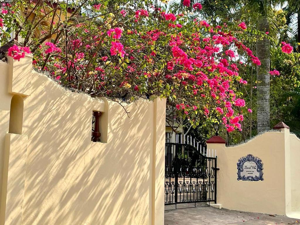 David Villa Nerul  Exterior foto